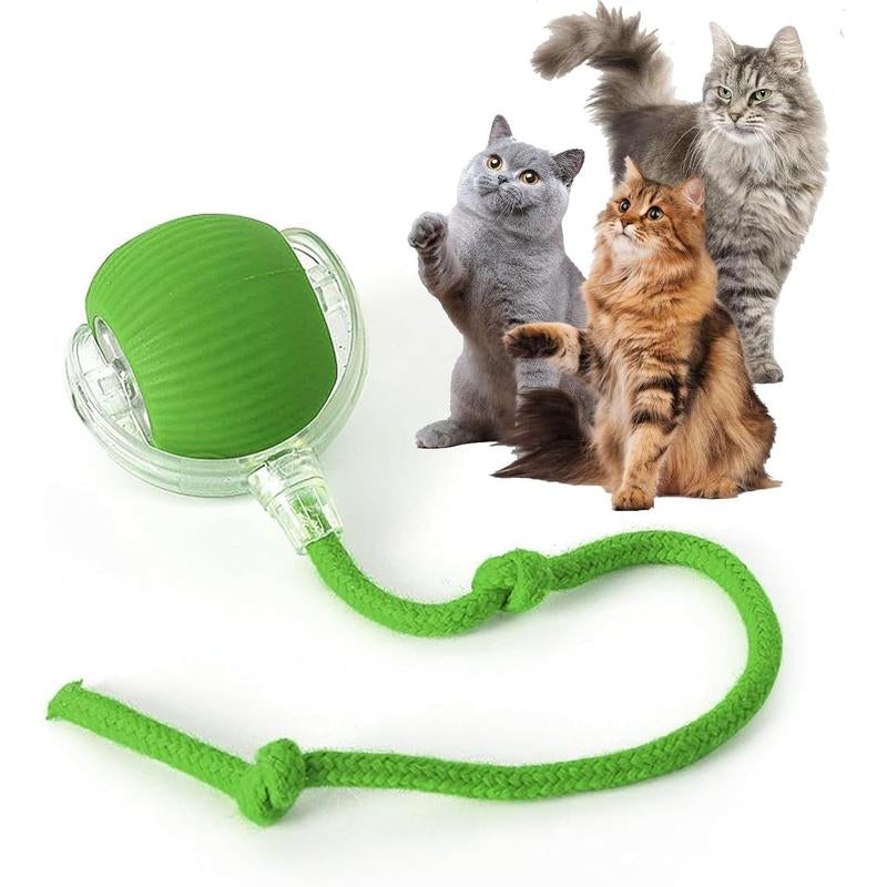 Durable Interactive Cat Toys for Indoor Cats Smart Automatic Cat Chase Ball Toy Automatic Jumping Motion - Boredom Buster & Exercise Toy Upgraded Speedy Tail Toy for Bored Indoor Pets (Red/Blue/Green)