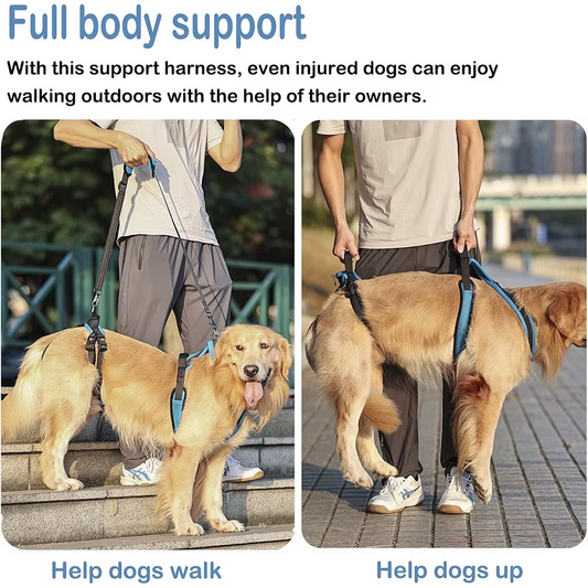 Care Lift Dog Assist Belt