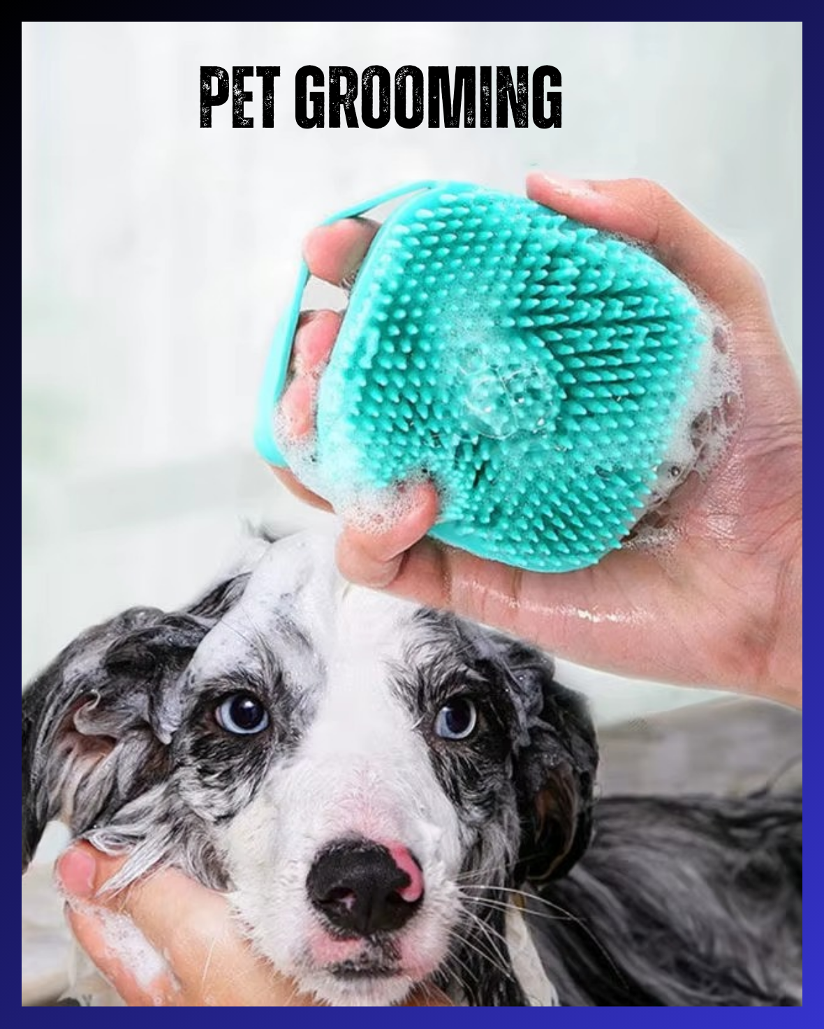 Pet Grooming