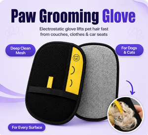 StridePaws pet-hair removal glove