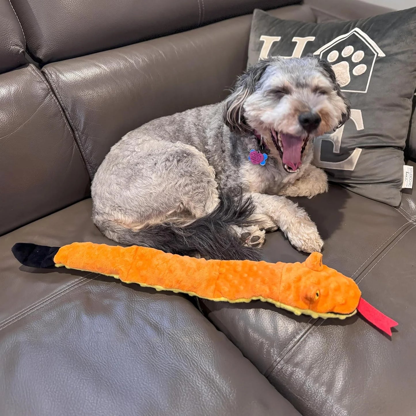 Skinneeez Extreme 24 Inch Stuffing-Free Durable Snake Dog Toy with Three Jumbo Squeakers
