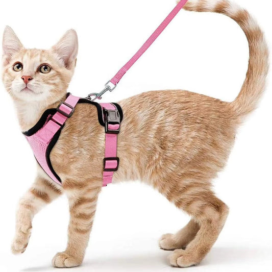 Easy Control Escape Proof Cat Harness and Leash - Soft Adjustable Vest Harnesses for Walking Cats MXQQY01
