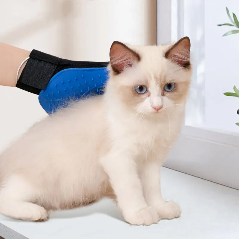 Bath, Massage & Deshedding Gloves