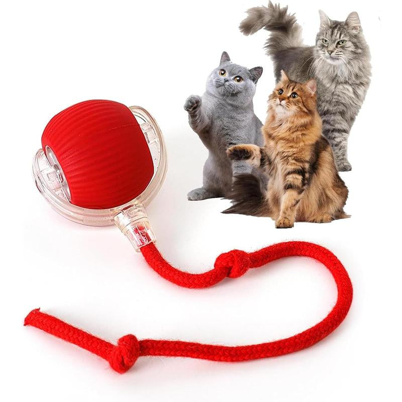 Durable Interactive Cat Toys for Indoor Cats Smart Automatic Cat Chase Ball Toy Automatic Jumping Motion - Boredom Buster & Exercise Toy Upgraded Speedy Tail Toy for Bored Indoor Pets (Red/Blue/Green)