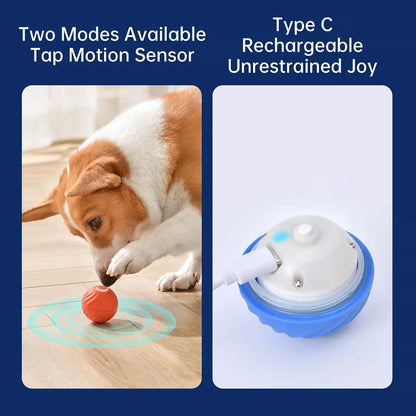 Tiktokshopblackfriday, Petgravity Interactive Dog Toys Dog Bouncing Ball, Dog Jumping Ball, Motion Activated Automatic Bouncing Ball Toys for Small/Medium Dogs, USB Rechargeable Pet Toys