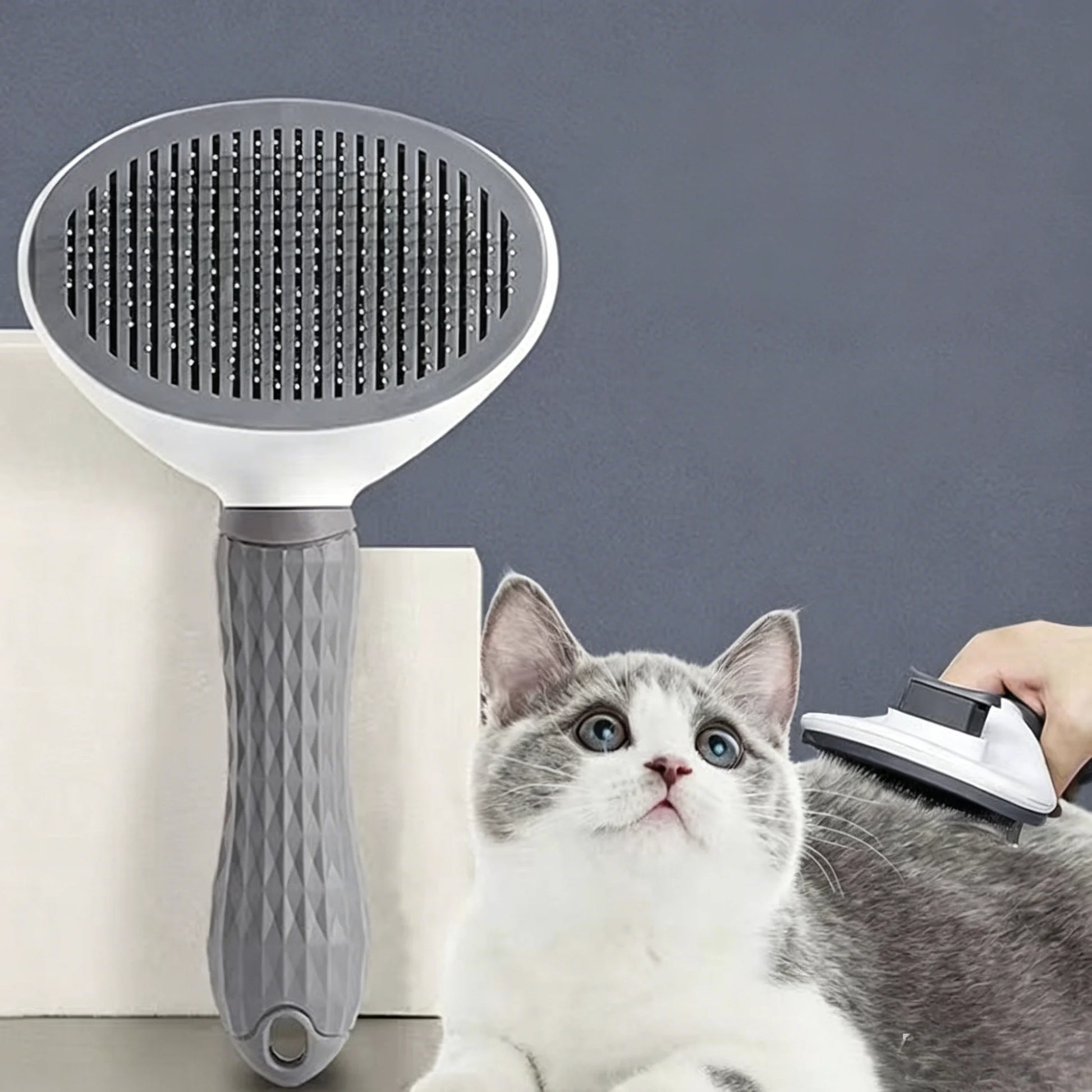 Pet Comb 