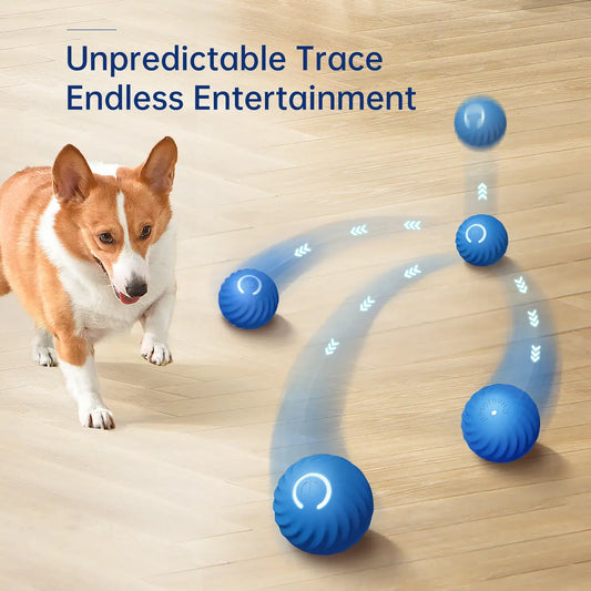 Tiktokshopblackfriday, Petgravity Interactive Dog Toys Dog Bouncing Ball, Dog Jumping Ball, Motion Activated Automatic Bouncing Ball Toys for Small/Medium Dogs, USB Rechargeable Pet Toys