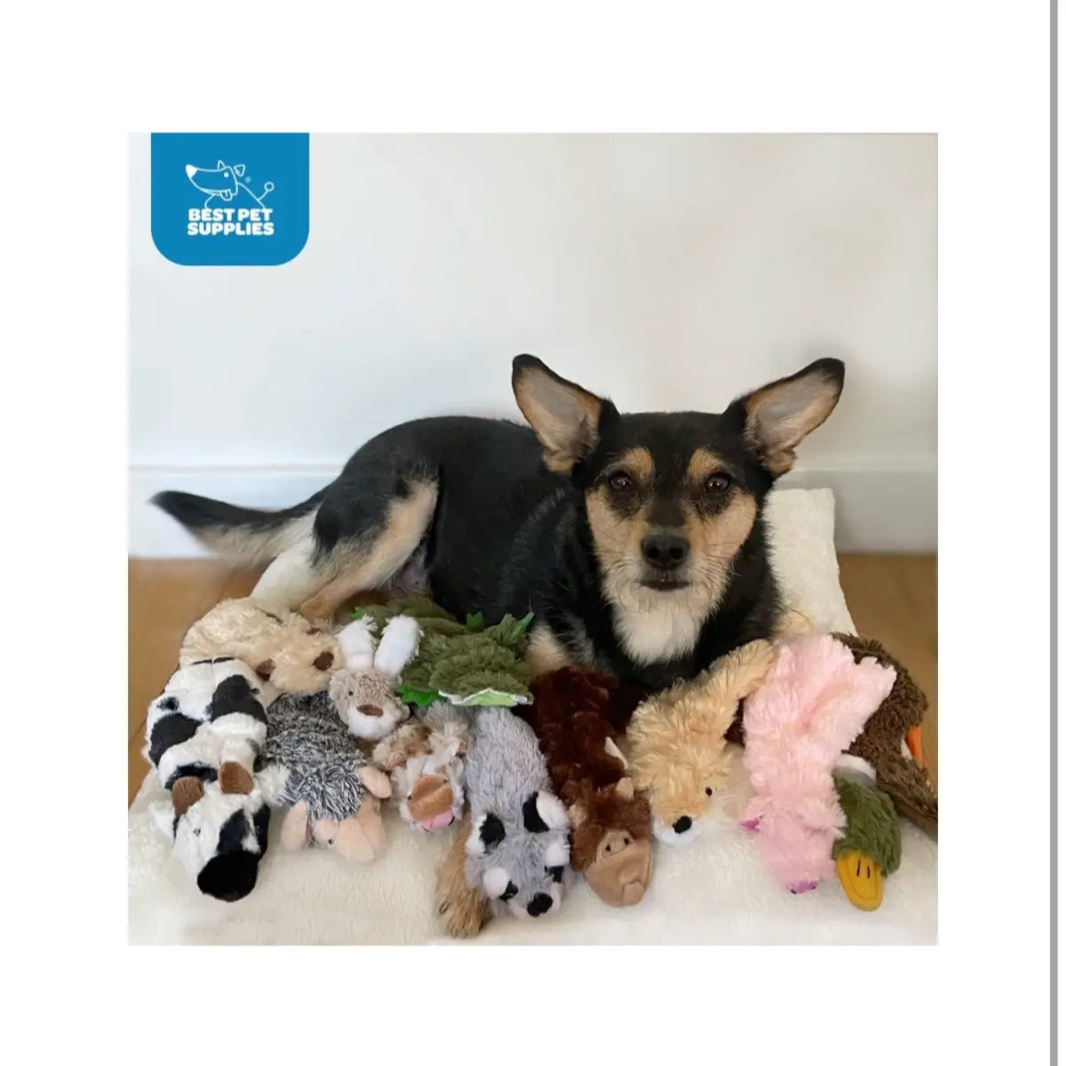 2-In-1 Stuffless Squeaky Dog Toy - Wild Duck Design for Small, Medium, and Large Pets - Soft and Durable Fabric - Supports Biting and Play