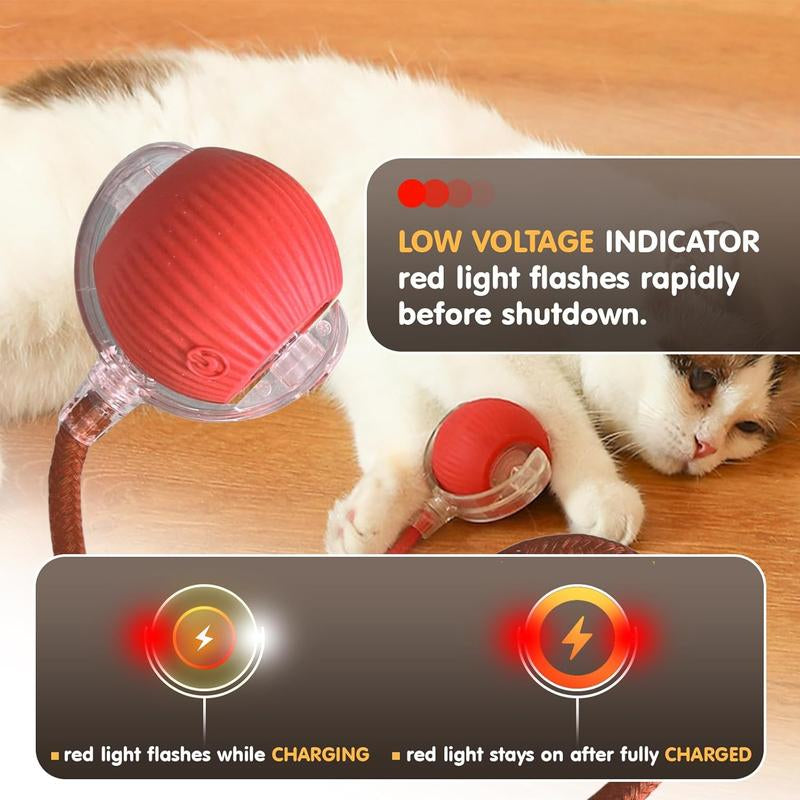 Durable Interactive Cat Toys for Indoor Cats Smart Automatic Cat Chase Ball Toy Automatic Jumping Motion - Boredom Buster & Exercise Toy Upgraded Speedy Tail Toy for Bored Indoor Pets (Red/Blue/Green)