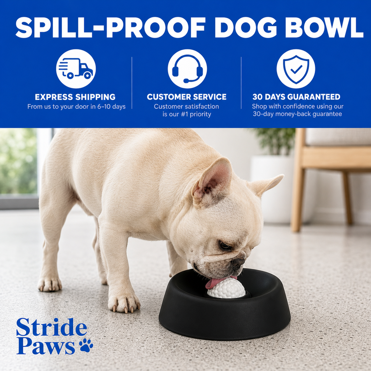 Spill-Proof Lick Bowl
