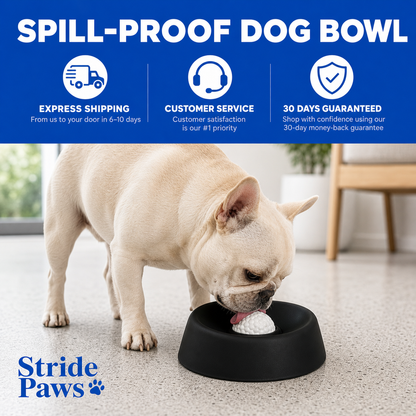 CalmLick™ Slow Feeder Dog Bowl