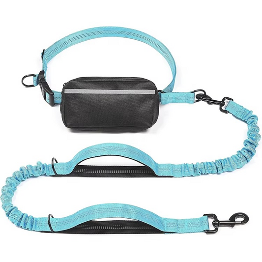 Hands-Free Dog Leash with Zipper Pouch