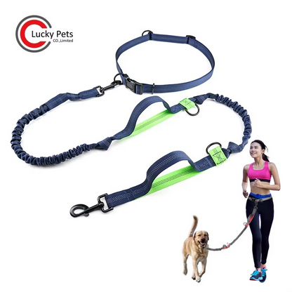 Hands-Free Dog Leash with Zipper Pouch