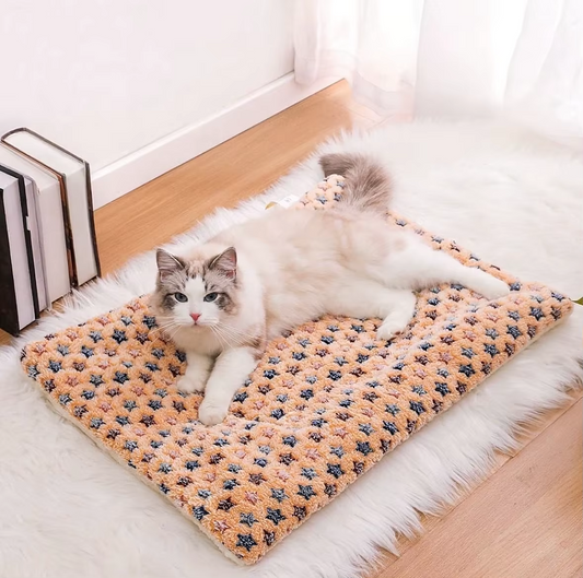 Ultra Soft Pet Bed with Cute Star Print
