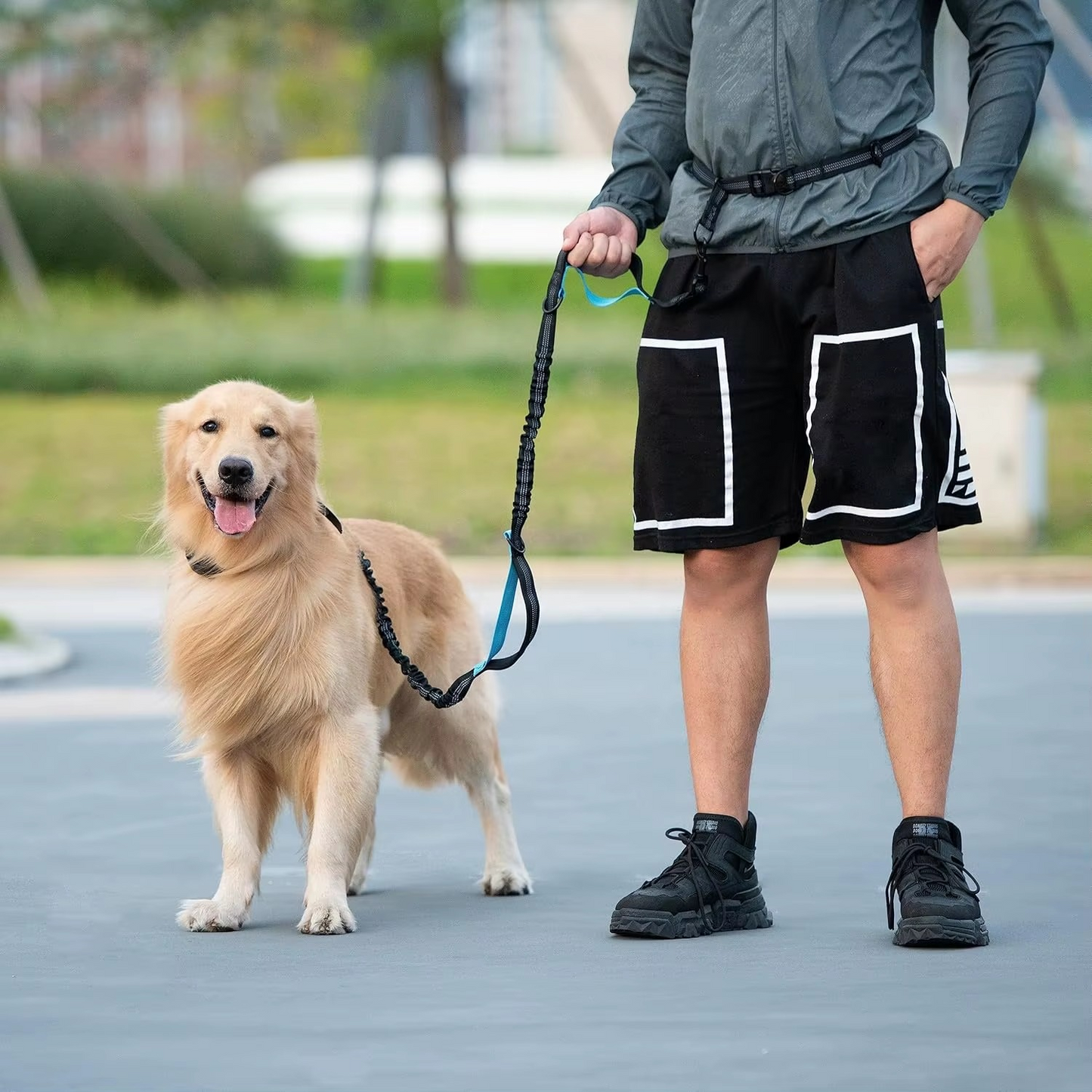 Hands-Free Dog Leash with Zipper Pouch