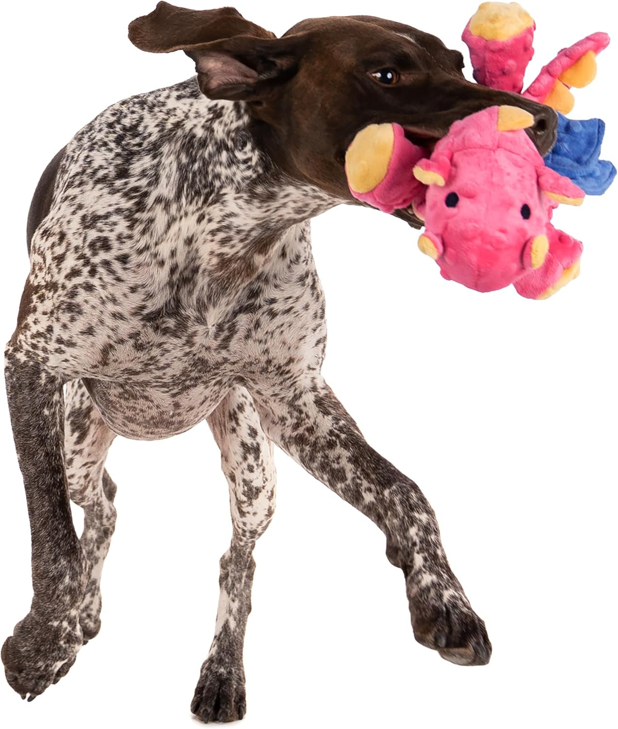 Bubble Plush Dragons Squeaky Pet Toy
