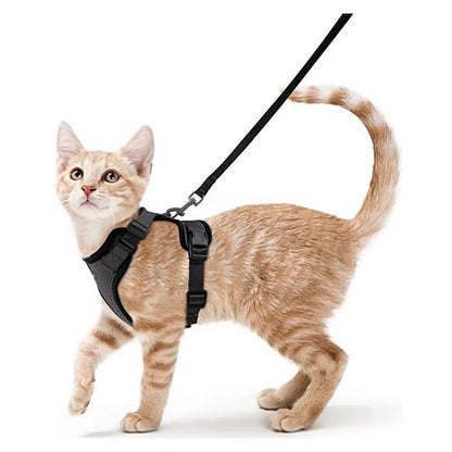 Easy Control Escape Proof Cat Harness and Leash - Soft Adjustable Vest Harnesses for Walking Cats MXQQY01