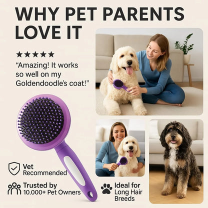 round Soft Bristle Hair Brush Pet Grooming Tool