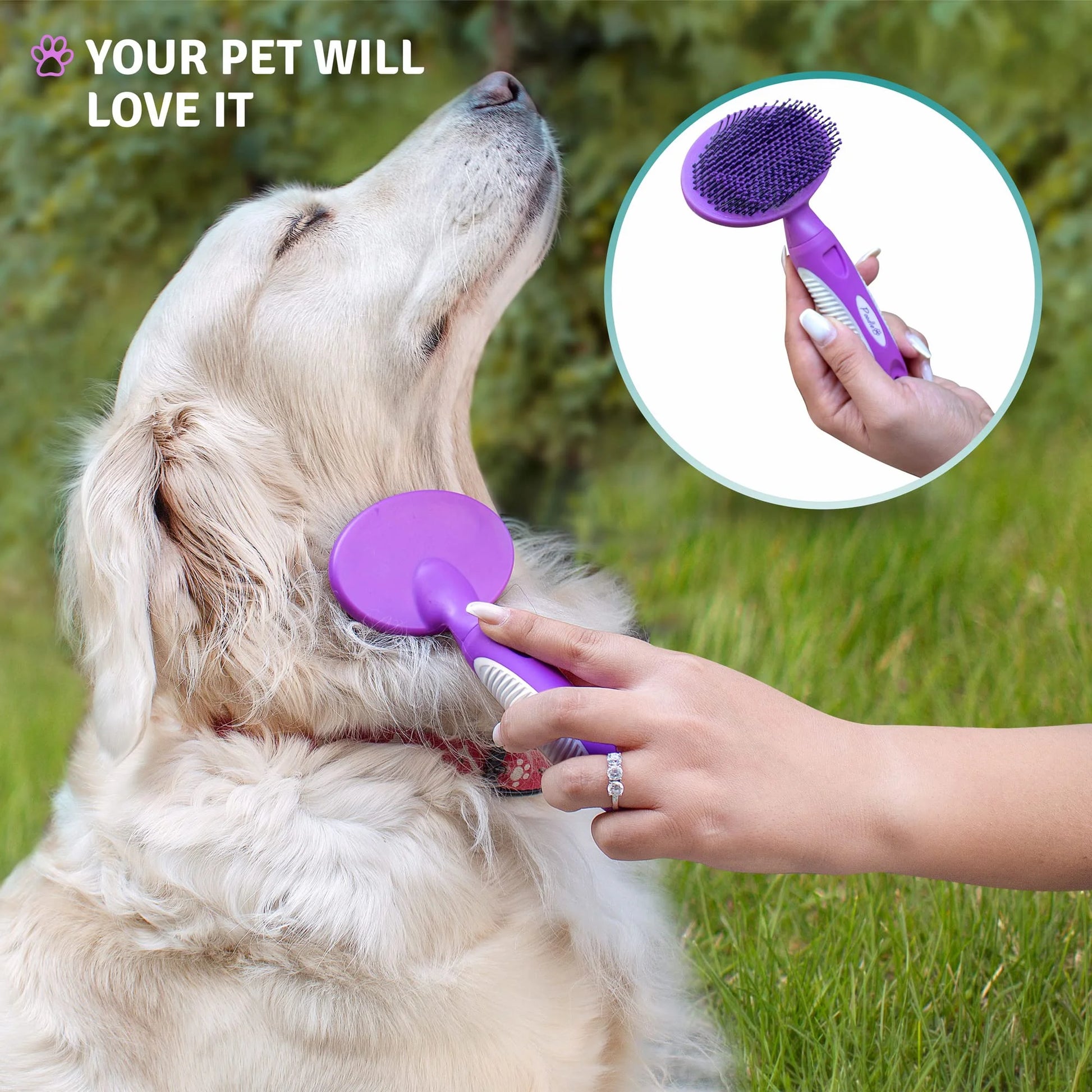 round Soft Bristle Hair Brush Pet Grooming Tool