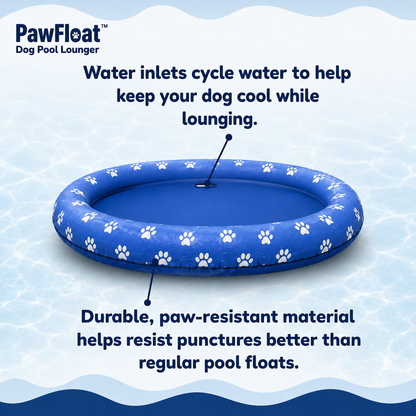 Paw Float™ Pool Lounger