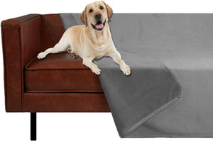 StridePaws pet-hair removal glove