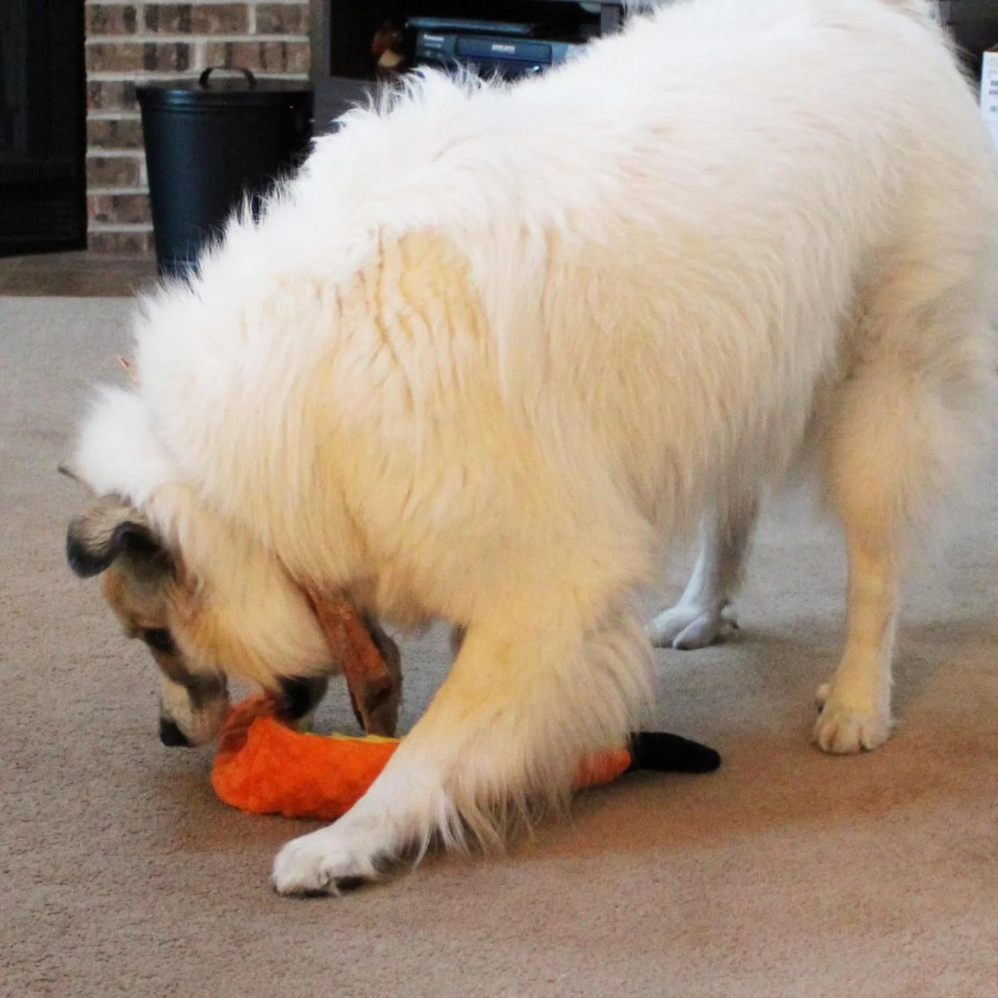 Skinneeez Extreme 24 Inch Stuffing-Free Durable Snake Dog Toy with Three Jumbo Squeakers