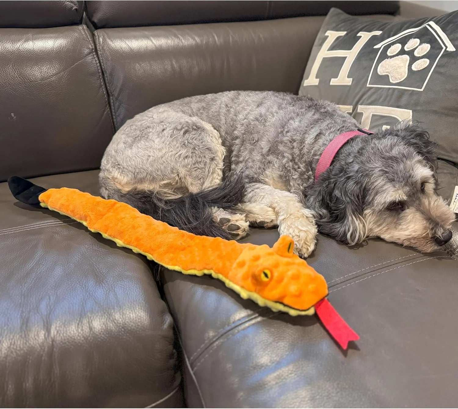 Skinneeez Extreme 24 Inch Stuffing-Free Durable Snake Dog Toy with Three Jumbo Squeakers