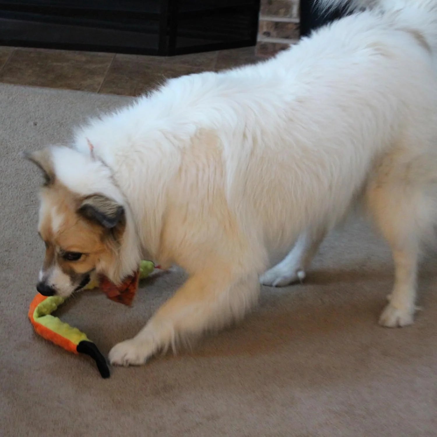 Skinneeez Extreme 24 Inch Stuffing-Free Durable Snake Dog Toy with Three Jumbo Squeakers