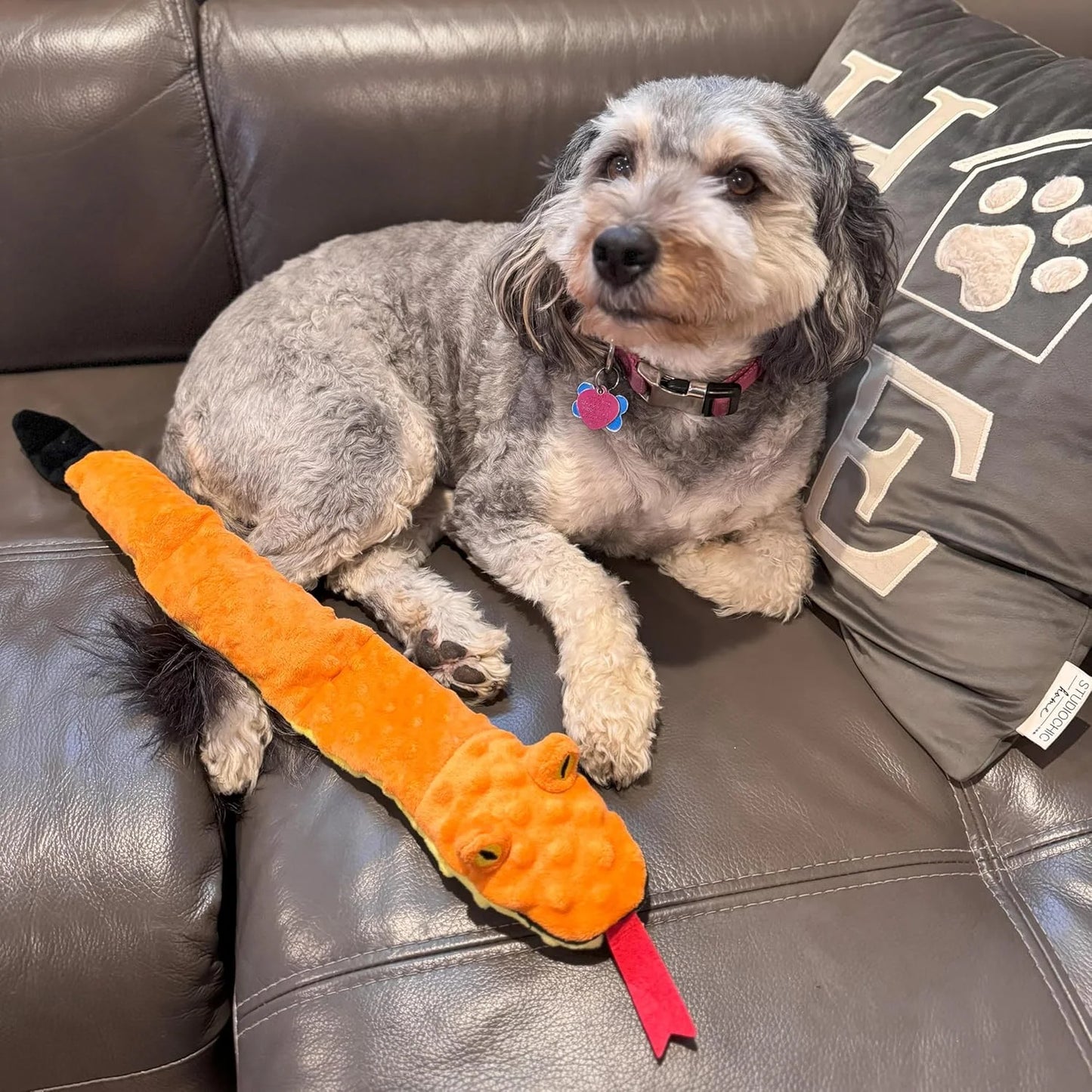 Skinneeez Extreme 24 Inch Stuffing-Free Durable Snake Dog Toy with Three Jumbo Squeakers