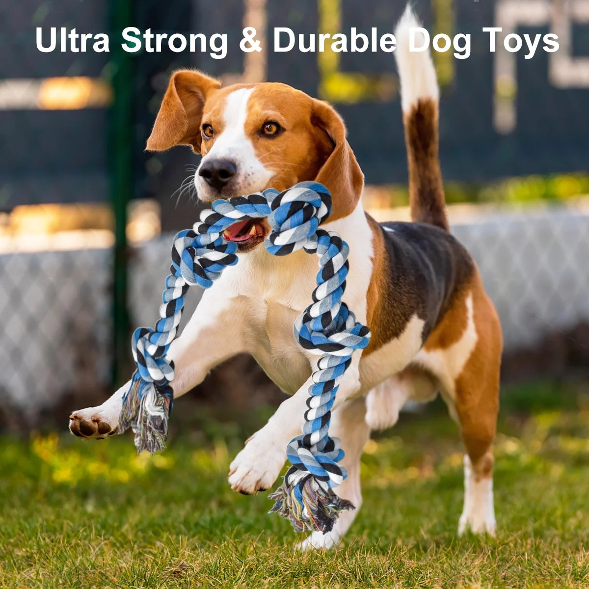 Heavy Duty Dog Chew Toys