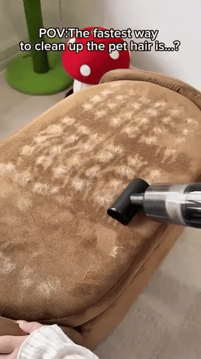 Pet hair covering sofa before cleanup